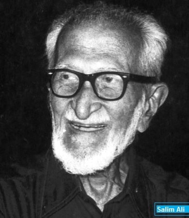 Famous Indian Scientist: Salim Ali