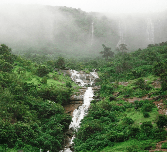 15th highest waterfalls in India- Kune Falls